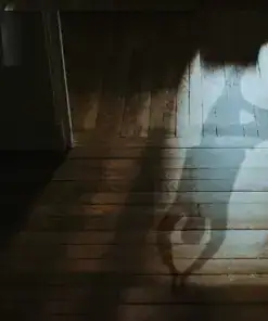 Schatten einer Person fällt durch eine offene Tür auf alte Holzdielen