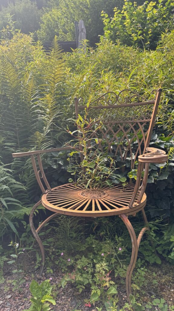 Ein alter Gartenstuhl aus Metall steht zwischen Farnen und Sträuchern im Garten der Altbäckersmühle